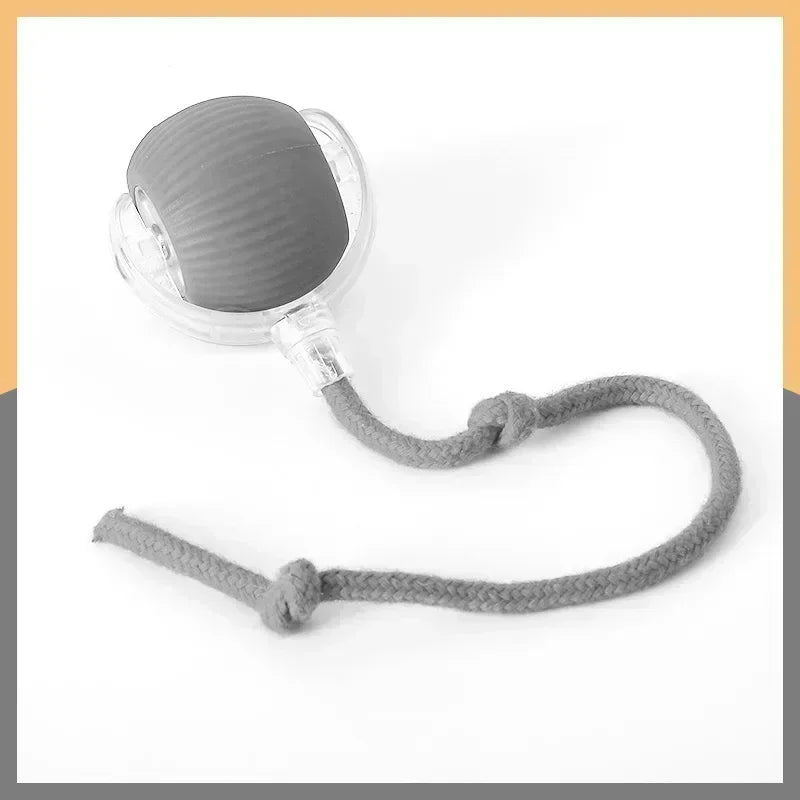 Interactive Pets Toys
