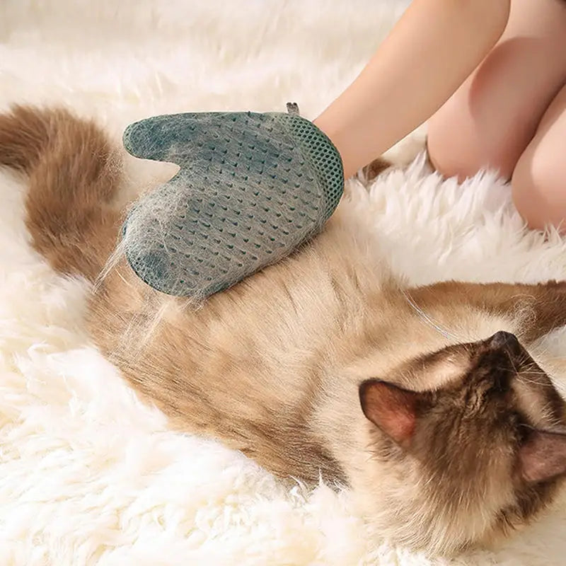 Pet Grooming Glove