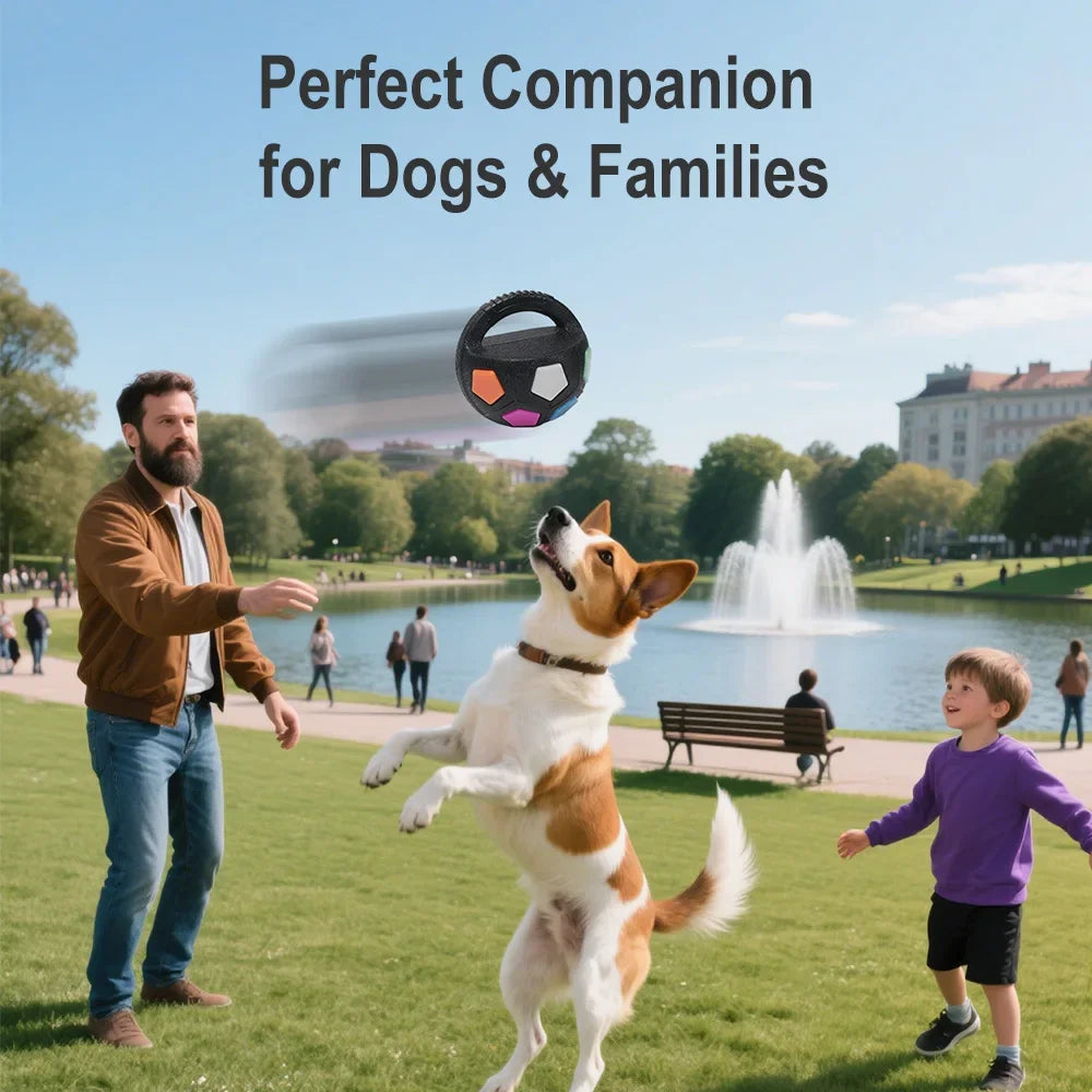 Pet Dog Toy Football Shape,
