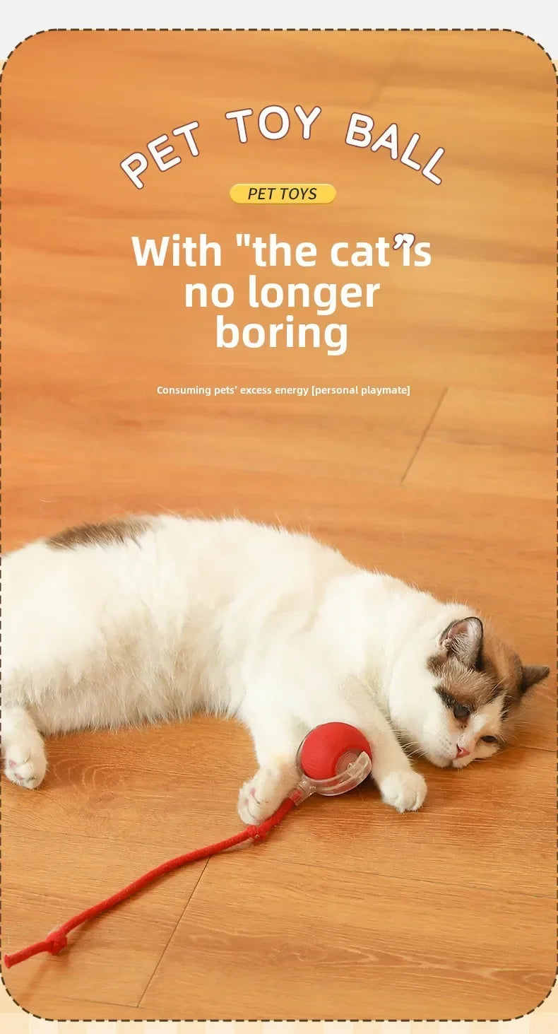 Interactive Pets Toys