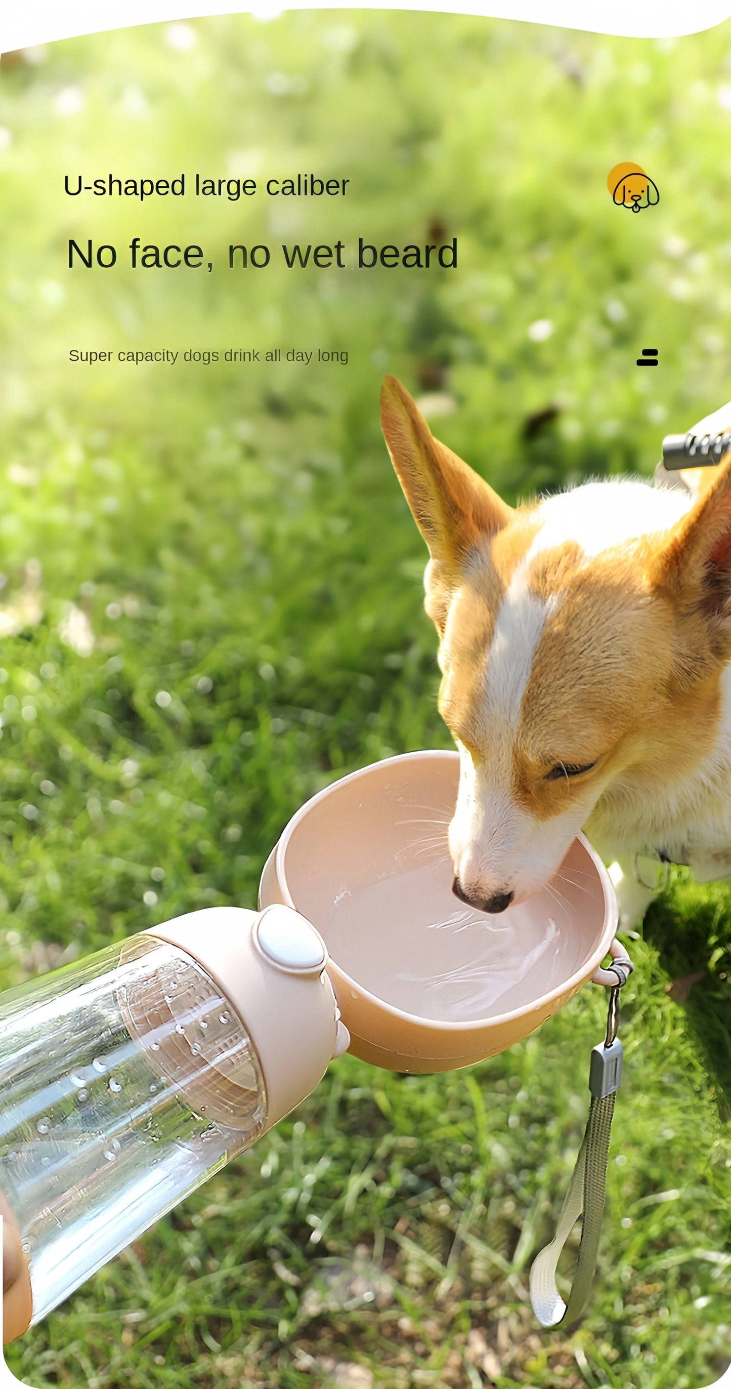 Dog Portable Water