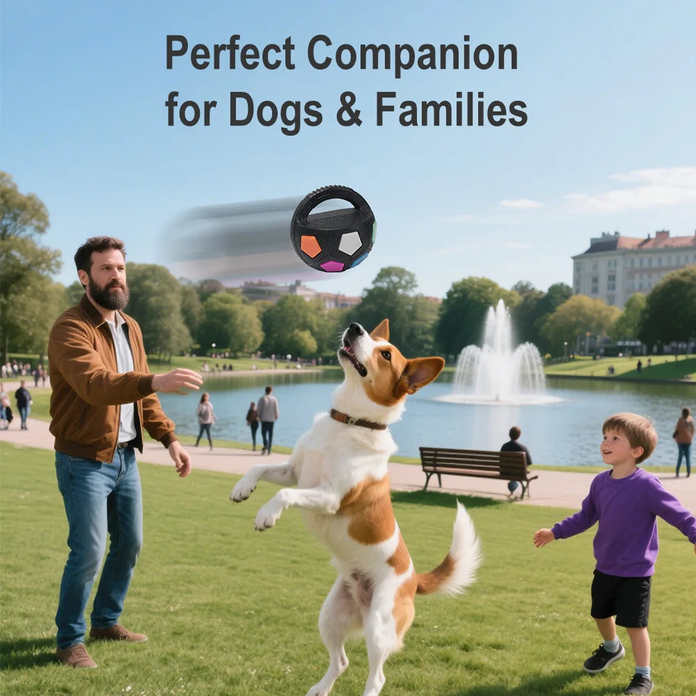 Pet Dog Toy Football Shape,