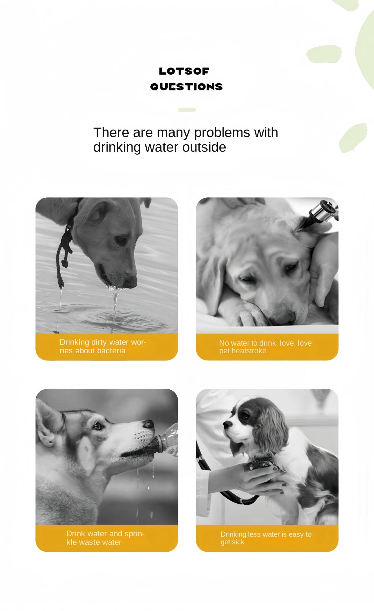 Dog Portable Water