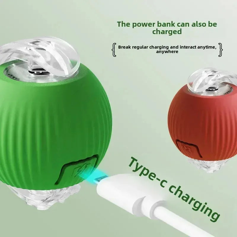 Interactive Pets Toys