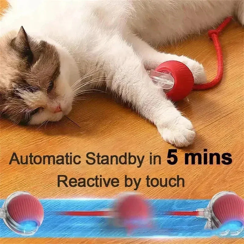 Interactive Pets Toys