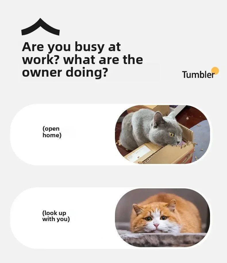 Interactive Pets Toys
