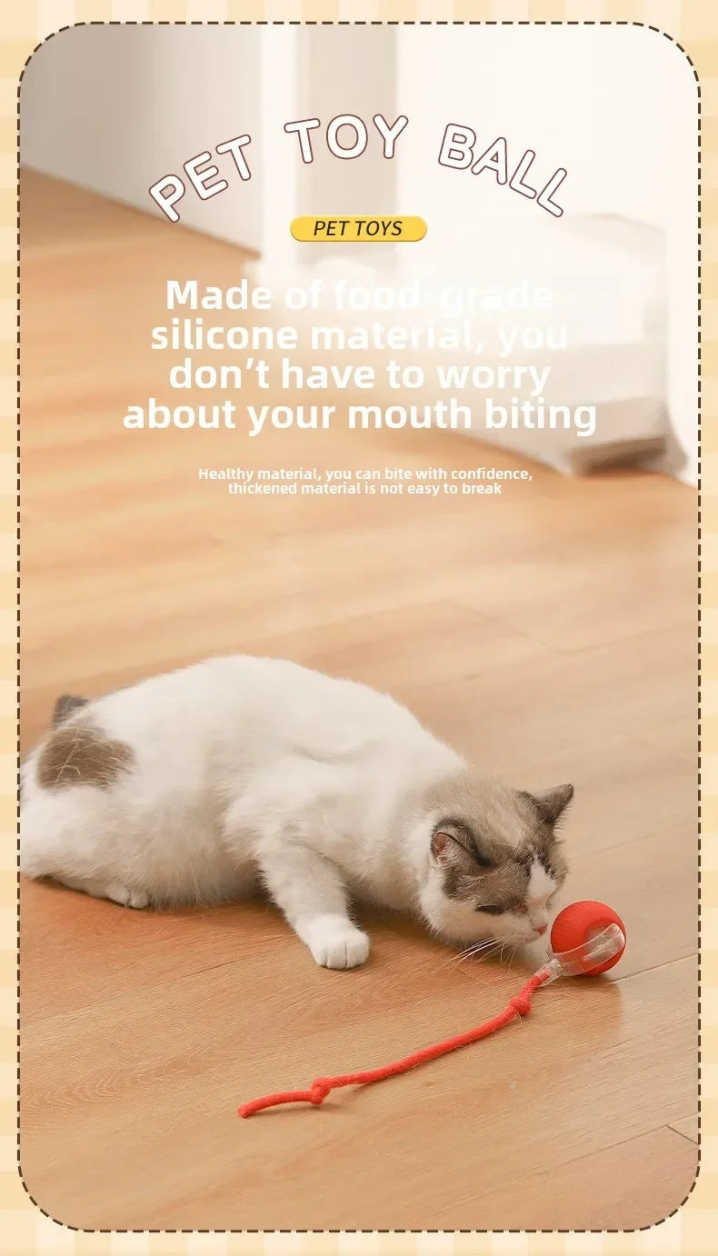 Interactive Pets Toys