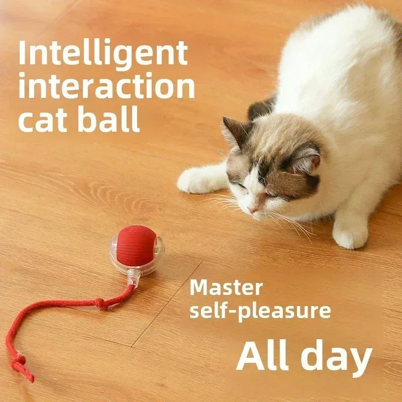 Interactive Pets Toys