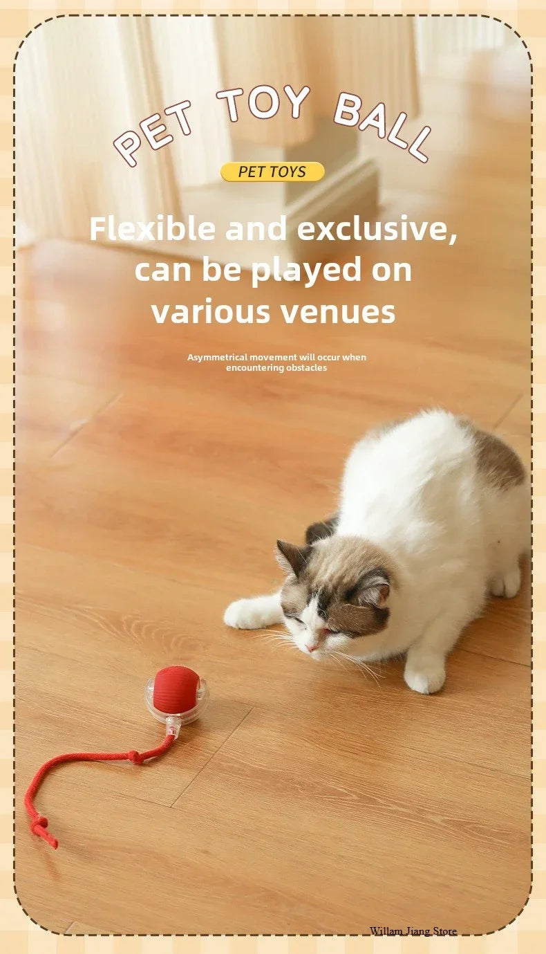 Interactive Pets Toys