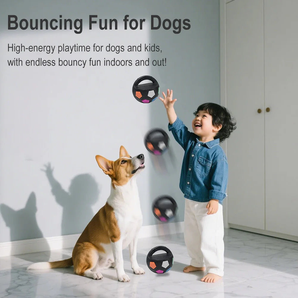 Pet Dog Toy Football Shape,
