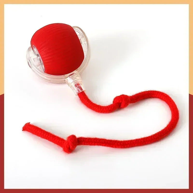 Interactive Pets Toys