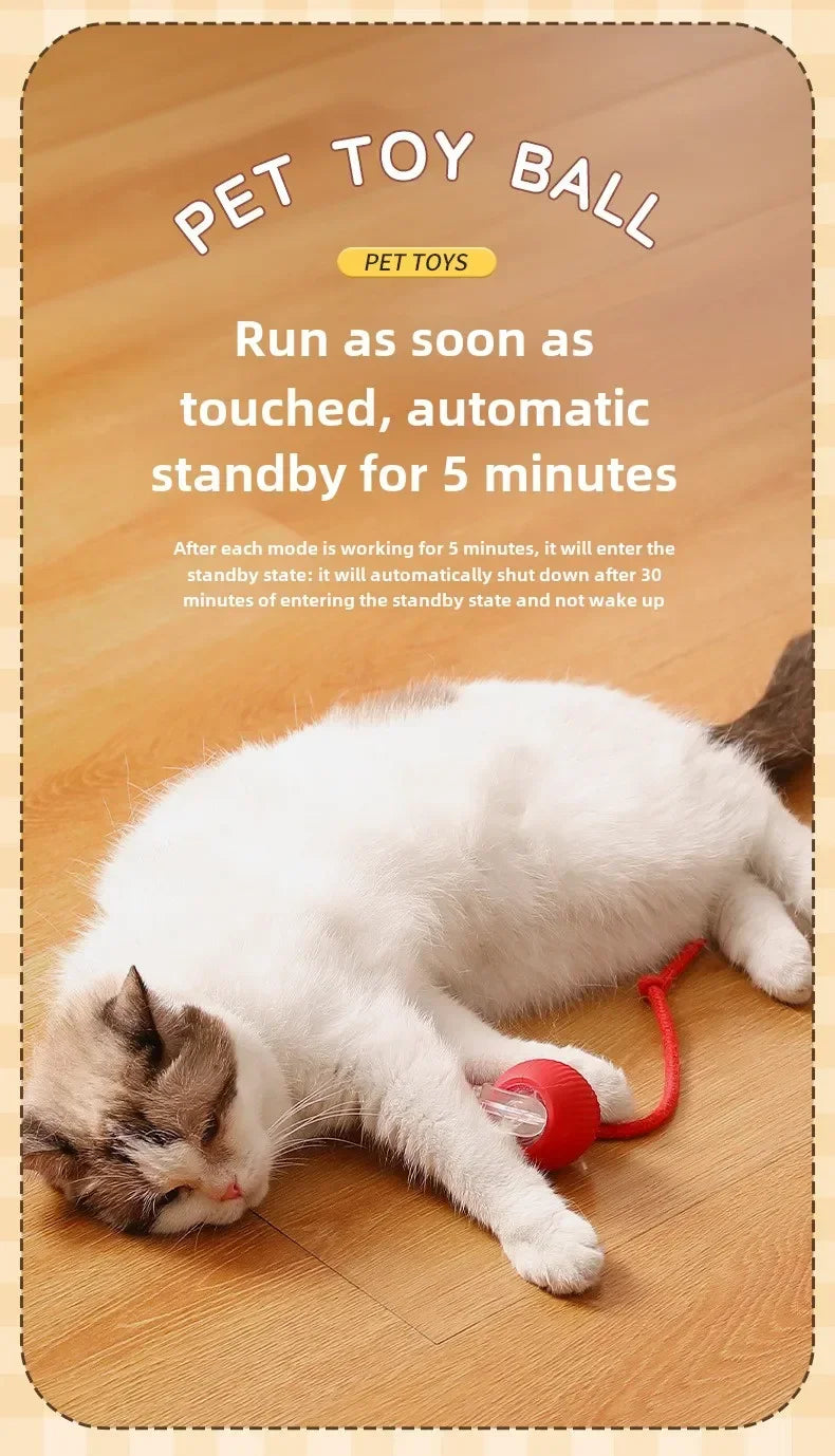 Interactive Pets Toys