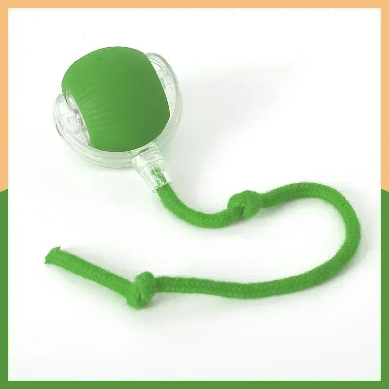 Interactive Pets Toys