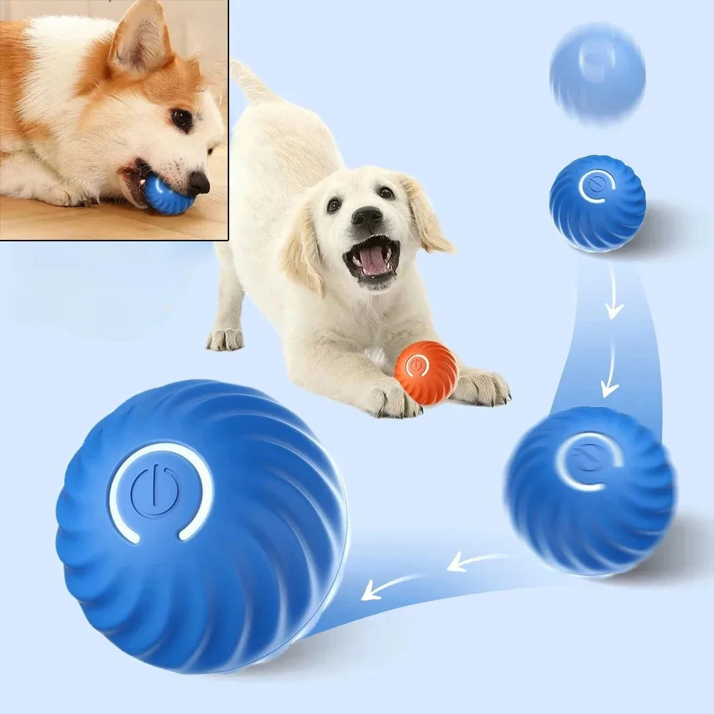 Smart Dog Toy Ball Electronic