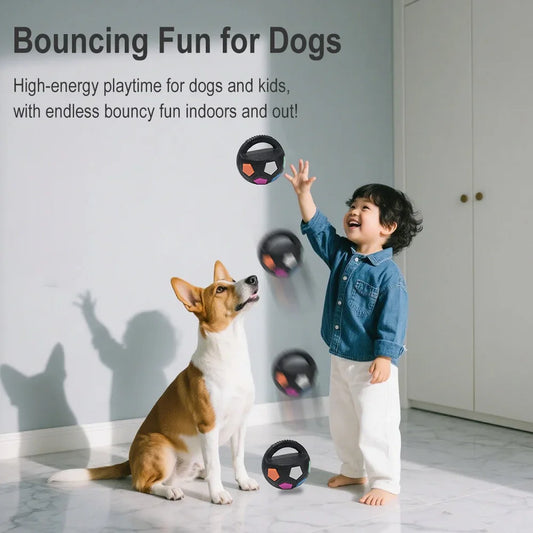 Pet Dog Toy Football Shape,
