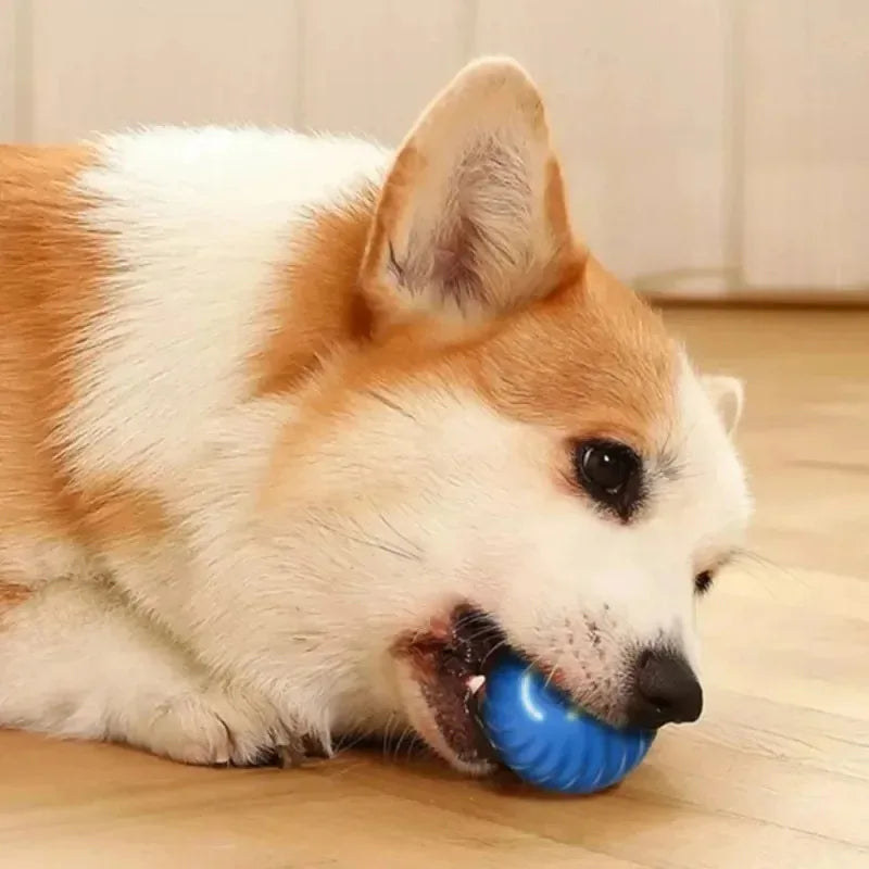 Smart Dog Toy Ball Electronic