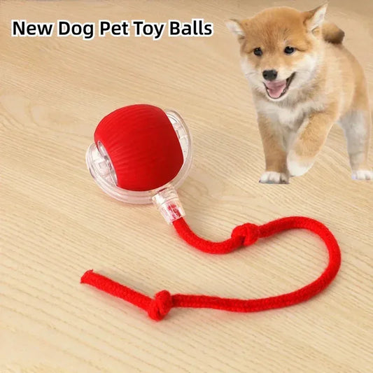 Interactive Pets Toys