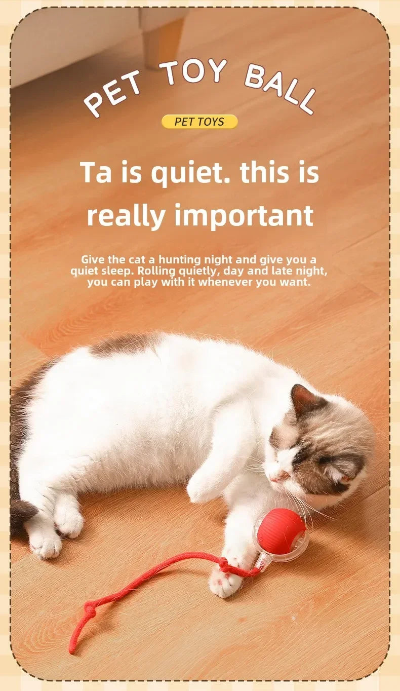 Interactive Pets Toys