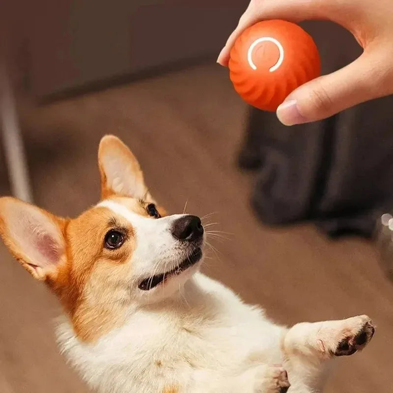Smart Dog Toy Ball Electronic