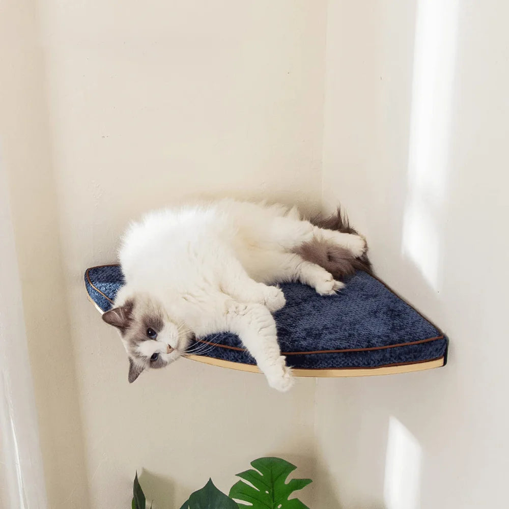 A durable multi-level cat tree that encourages healthy scratching, climbing, and relaxation while protecting your furniture.
