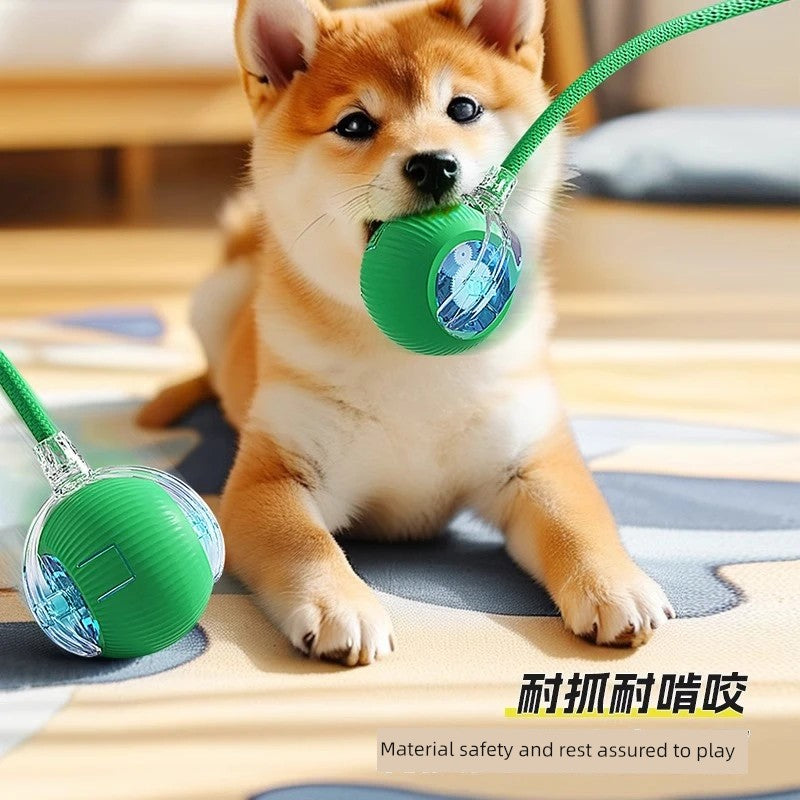 Toy Automatic